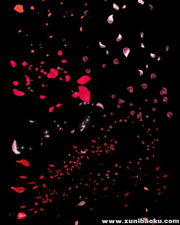 QQ图片20170302074959.png