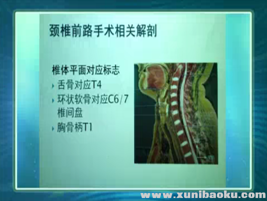QQ图片20170610093445.png
