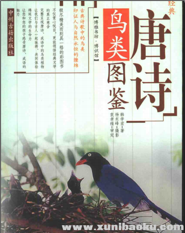 QQ图片20170617195133.png
