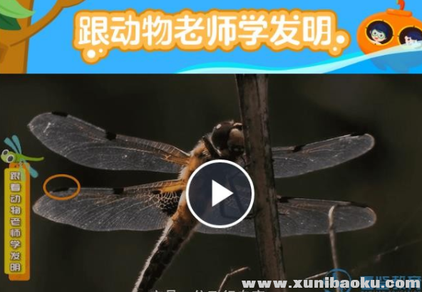 QQ图片20191212151133.png