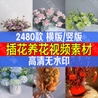 插花养花唯美高清无水印短视频素材抖音快手热门剪辑自媒体视频