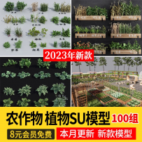 SU模型农作物庄稼农业田园菜地植物燕麦水稻小麦玉米素材草图大师