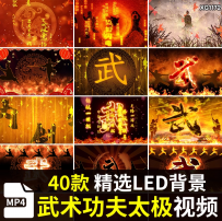 中国风武术功夫太极南拳北腿少林表演武字背景LED大屏幕视频素材