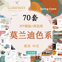 莫兰迪色PPT模板 简约风时尚高级配色工作总结汇报计划答辩素材