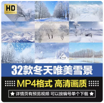冬天下雪花飘落树林冰雪风景色舞台大屏幕背景抒情短片视频素材