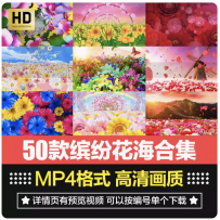 唯美花海花朵玫瑰花瓣飞舞婚礼舞台LED大屏幕背景短片视频素材