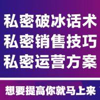 私密话术销售技巧咨询课程铺垫方法视频教程