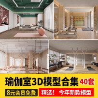 瑜伽室瑜伽馆瑜伽垫瑜伽球训练室教室舞蹈室私教3d模型3dmax现代