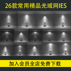 3D光域网IES文件 3DMAX灯光素材 IES灯光素材Vray corona渲染器