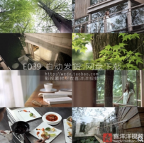 唯美清新房地产别墅大自然森林树木会馆泉水品质生活视频素材