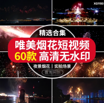 烟花新年礼花绽放夜晚唯美夜景高清实拍短视频自媒体背景剪辑素材