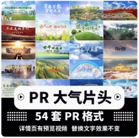PR片头模板震撼大气小清新唯美简约2023年视频素材合集代制作修改