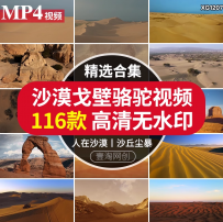 荒野沙漠戈壁日落骆驼风化地貌大漠丝绸之路沙丘草原风景视频素材