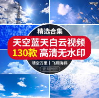 唯美天空蓝天白云海鸥飞鸟航拍晴空万里空镜头实拍短视频剪辑素材